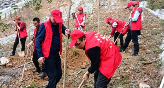 村企共建，共植先锋林