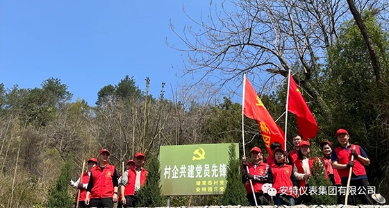 党建强引领，共植先锋林